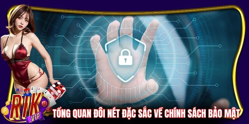 Tổng quan đôi nét đặc sắc về chính sách bảo mật